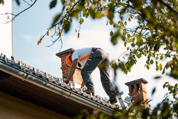 Best Best Roofing Contractors  in Virden, IL