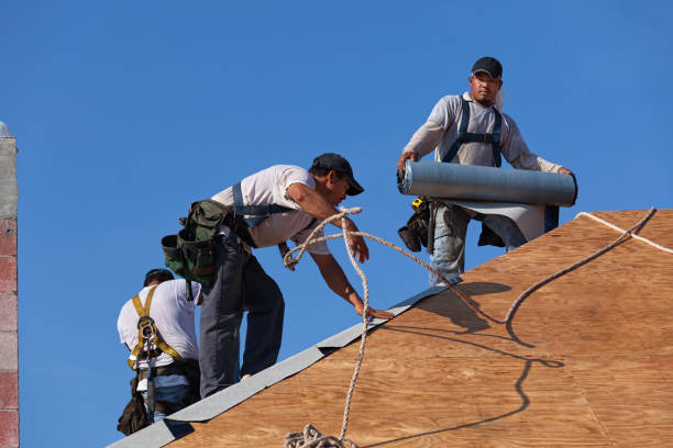 Best Roof Maintenance Services  in Virden, IL