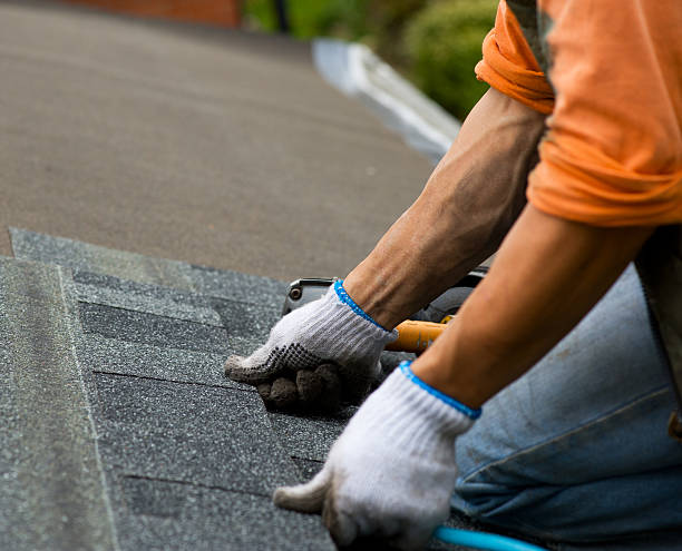 Best Flat Roof Repair Services  in Virden, IL