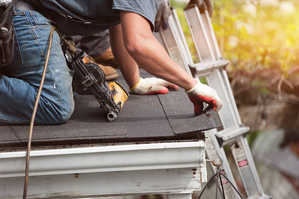 Best Roof Gutter Cleaning  in Virden, IL